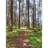 Mystery locale.  Bet you'll never guess where on our travels this was taken....